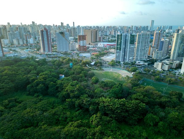 Renforcer l'Égalité Professionnelle grâce à une Stratégie GPEC Innovante